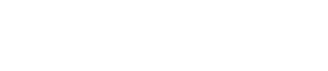Allvision logo white