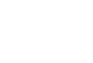 New Anametric Logo (white)