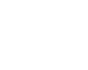 Castelion-White-01